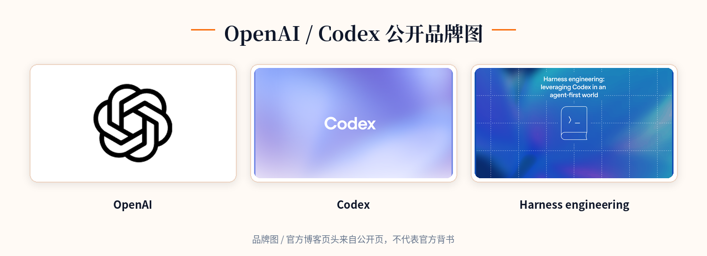 OpenAI / Codex 公开品牌图
